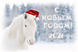 � ����� �����!